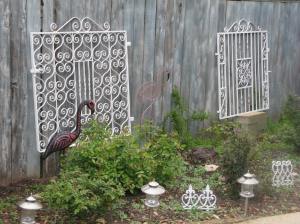 Finally got my garden gates back from the powder coater, just in time for my climbing rose to take off.