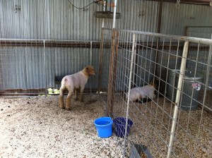 Exhausted from a busy day