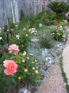 Second phase from the rose garden